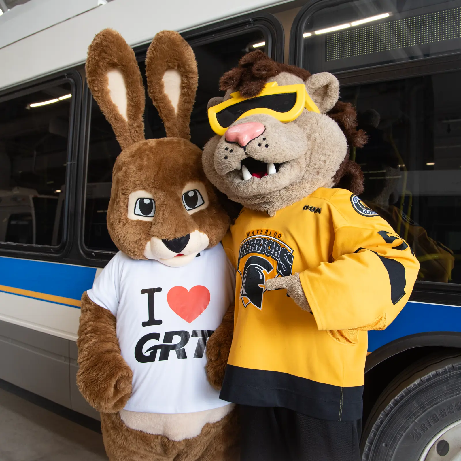 Ryder the GRT mascot | Grand River Transit